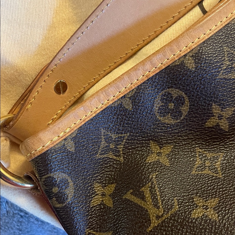 Louis Vuitton Brown Monogram delightful Pm - Picture 16 of 16